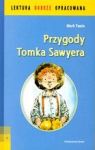 PRZYGODY TOMKA SAWYERA LEKTURA DOBRZE OPRACOWANA