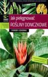 JAK PIELĘGNOWAĆ ROŚLINY DONICZKOWE CHOROBY I SZKODNIKI TW