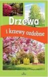 DRZEWA I KRZEWY OZDOBNE