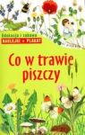 CO W TRAWIE PISZCZY MŁODY OBSERWATOR PRZYRODY