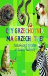 CZY GRZECHOTNIK MA GRZECHOTKĘ? TW