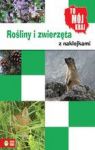 ROŚLINY I ZWIERZĘTA Z NAKLEJKAMI